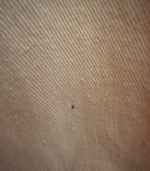 Casaco Oversized amarelo com tachas - M/L - Image 4