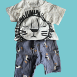 Conjunto Leão e Gaivota - 18-24 meses