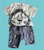 Conjunto Leão e Gaivota - 18-24 meses